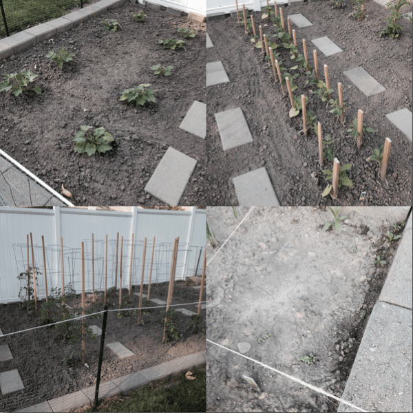 Screen Shot 2014-06-07 at 10.03.49 PM