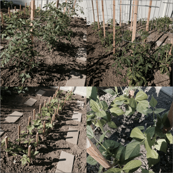 Screen Shot 2014-06-14 at 9.26.13 PM