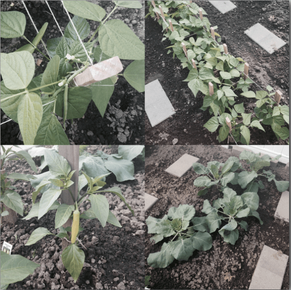 Screen Shot 2014-06-21 at 9.48.47 PM